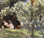 Peder Severin Kroyer, Rose Garden